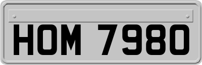 HOM7980