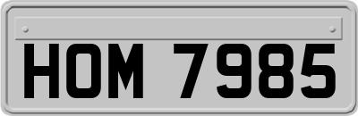 HOM7985