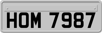 HOM7987