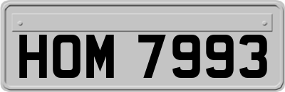 HOM7993