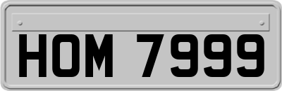 HOM7999