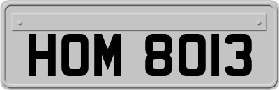 HOM8013