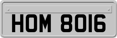 HOM8016