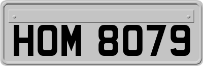 HOM8079