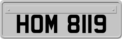 HOM8119