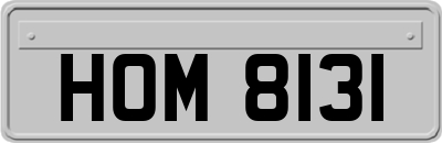 HOM8131