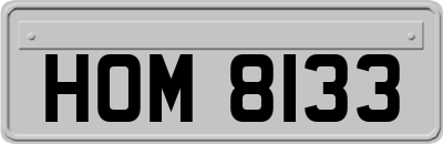 HOM8133