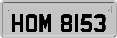 HOM8153