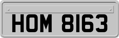 HOM8163