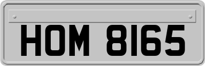 HOM8165