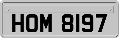 HOM8197