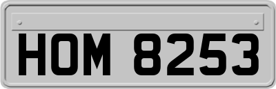 HOM8253