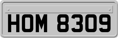 HOM8309