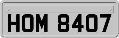 HOM8407