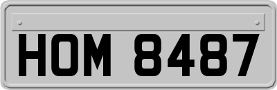 HOM8487