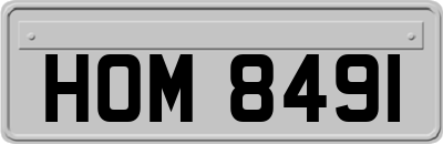 HOM8491