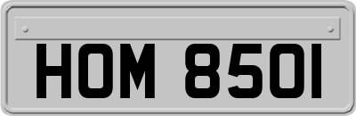 HOM8501