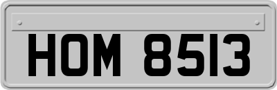 HOM8513