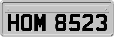 HOM8523