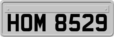 HOM8529