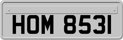 HOM8531