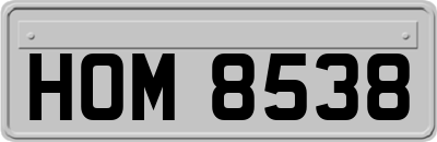 HOM8538