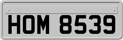 HOM8539