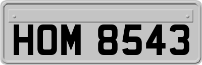 HOM8543