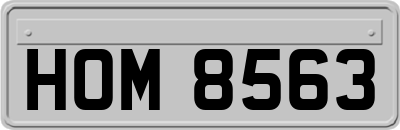 HOM8563