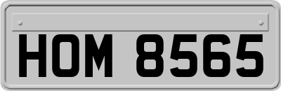 HOM8565