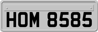 HOM8585