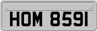 HOM8591