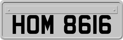 HOM8616