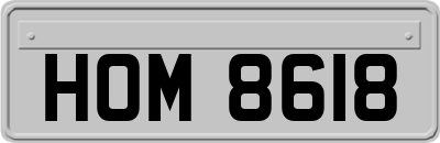 HOM8618