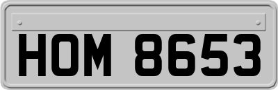 HOM8653