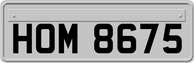 HOM8675