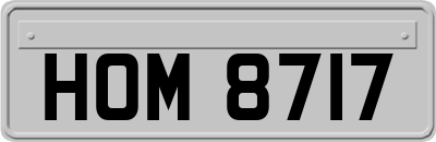 HOM8717