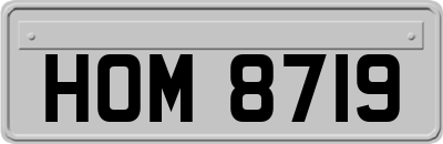 HOM8719