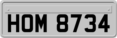 HOM8734
