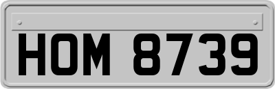 HOM8739