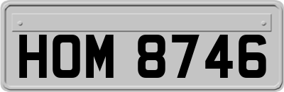 HOM8746