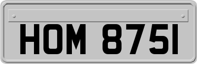 HOM8751
