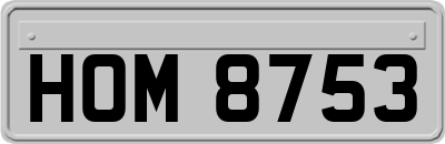 HOM8753