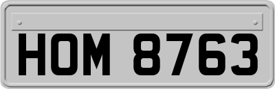 HOM8763