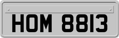 HOM8813