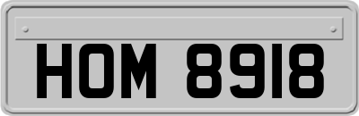 HOM8918