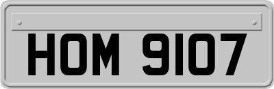 HOM9107