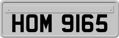 HOM9165