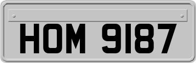 HOM9187