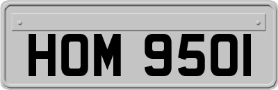 HOM9501